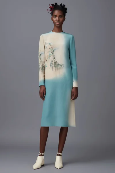 Look 53